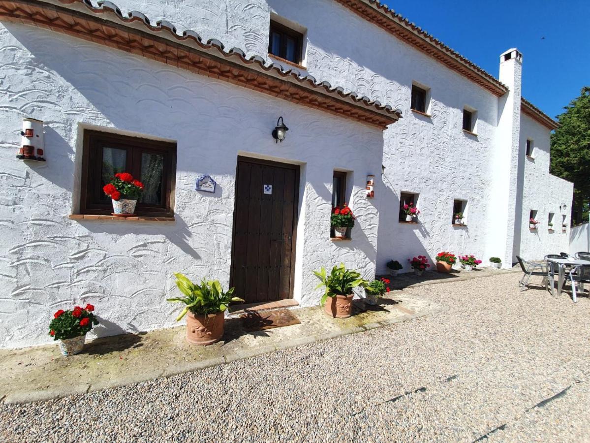 Bed & Breakfast La Luna Del Sur Alfacar